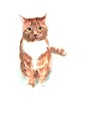 Watercolor sitting ginger cat with green eyes