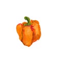 Watercolor sketch of bell pepper. Illustration of cut red bell pepper.Watercolor illustration. Royalty Free Stock Photo