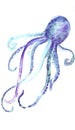 watercolor sketch. blue octopus drawing art paint Royalty Free Stock Photo