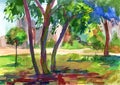 Watercolor sketch of a city park. Landscape With Trees