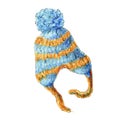 Watercolor sketch illustration of winter knitted hat. Cute concept