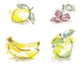 Watercolor sketch of isolated fruits - lemon, cherry, banana, green apple.