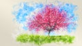 Watercolor sketch of single blooming cherry tree