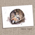 Watercolor Sketch of a Sleeping Home Cat