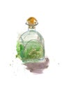 Watercolor sketh absinthe bottle