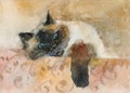 Watercolor sleeping color-point cat