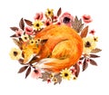 Watercolor sleeping fox among flowers isolated on white background. Royalty Free Stock Photo