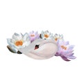 Watercolor sleeping white swan Waterlilies Cute bird For baby decor 2024, Women's day, posters,postcards,logos