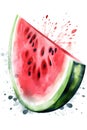 Watercolor slice of watermelon. Hand drawn illustration on white background