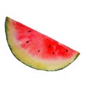 Watercolor slice of watermelon on a white background