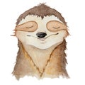 Watercolor sloth cute hand drawn illustration