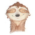 Watercolor sloth cute hand drawn illustration