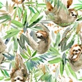 Watercolor sloth and tropical plant seamless pattern. tropical animal