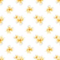 Watercolor small frangipani flower pattern design