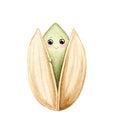 Watercolor cartoon smiling green kawaii pistachio in shell