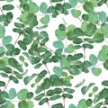 Watercolor snowberry branch with green leaves seamless pattern