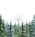 Watercolor snowy pine and spruce trees on white background. Winter evergreen forest landscape, greenery plants for holiday design