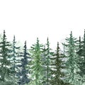 Watercolor snowy pine trees background. Banner with hand painted forest  and falling snow on white. Winter wonderland Royalty Free Stock Photo