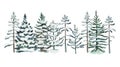 Watercolor snowy pine trees and firs illustration