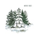 Watercolor snowy winter trees illustration. Pine trees with snow on branches. Winter forest landscape