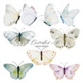 Watercolor soft earth tones butterflies collection