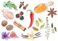 Watercolor spices and herbs clipart on white background