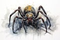 watercolor Spider insect spider watercolor illustration Royalty Free Stock Photo