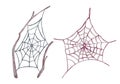 Watercolor spider web halloween illustration hand drawn set isolated at white. Net illustration