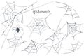 Watercolor spider web set for halloween design.