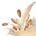 Watercolor splash of milk and almonds isolated on the white background