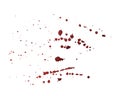 Watercolor splatter drops from wine blood paint, red burgundy color, isolated, white background.