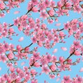 Watercolor spring blooming cherry tree branches seamless pattern