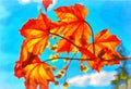 Watercolor. Spring. Bright red leaves of canadian maple against the blue spring sky. Flowers and leaves close-up. Digital painting Royalty Free Stock Photo