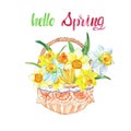 Watercolor spring daffodil flowers in a basket and text. Yellow floral decorative bouquet for easter cards