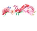 Watercolor spring floral border with pink and red peony flowers, isolated on white background. Royalty Free Stock Photo