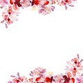 Watercolor Spring floral borders set with hand painted pink sakura flowers on white background.