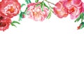 Watercolor spring floral frame with pink and coral peonies. Hand painted delicate border with flowers Royalty Free Stock Photo