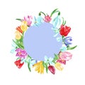 Watercolor spring floral round frame with yellow, pink, blue and red flowers. Hand painted tulips,daffodils, crocuses, snowdrops Royalty Free Stock Photo