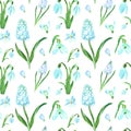 Watercolor spring floral seamless pattern with blue snowdrops and muscari flowers on white background. Bright beautiful print