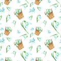Watercolor spring floral seamless pattern with tender snowdrops flowers on white background. Bright fresh pattern Royalty Free Stock Photo