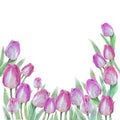 Watercolor spring floral tulip backgraund