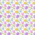 Watercolor spring flowers seamless pattern. Hand painted colorful crocuses on white background. Royalty Free Stock Photo