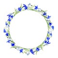 Watercolor Spring flowers wreath. Snowdrops and bluebells flowers