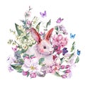 Watercolor spring greeting card white bunny