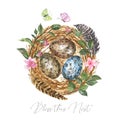 Watercolor bird nest and eggs, isolated on white background. Easter spring decor. Hand drawn illustration Royalty Free Stock Photo