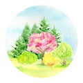 Watercolor Spring landscape, sakura pink flowers trees and yellow forsythia bush, Green nature forest landscape, scenery Royalty Free Stock Photo