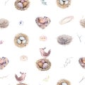 Watercolor spring rustic pattern with nest, birds, branch,tree twigs and feather. Watercolour seamless hand drawn bird Royalty Free Stock Photo