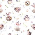 Watercolor spring rustic pattern with nest, birds, branch,tree twigs and feather. Watercolour seamless hand drawn bird Royalty Free Stock Photo