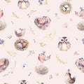 Watercolor spring rustic pattern with nest, birds, branch,tree twigs and feather. Watercolour seamless hand drawn bird