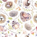 Watercolor spring rustic pattern with nest, birds, branch,tree twigs and feather. Watercolour seamless hand drawn bird